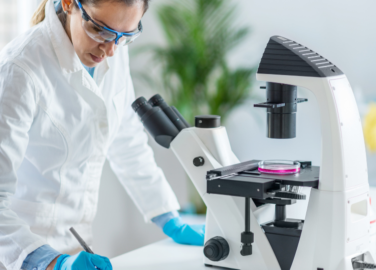 Customized Modular Laboratory Furniture